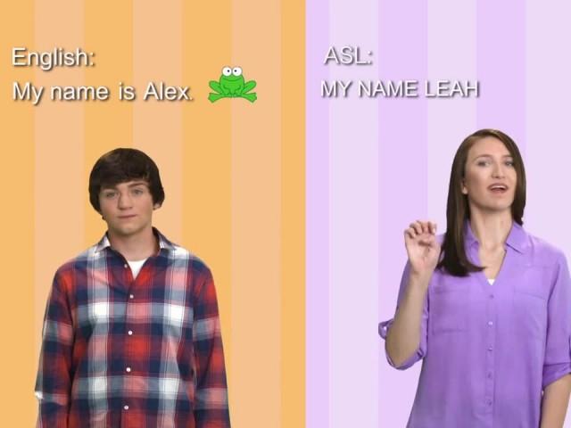 Signing Time Sentences 1: Let's Get Started