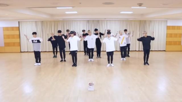 [Choreography Video] SEVENTEEN (세븐틴) - 울고 싶지 않아(Don’t Wanna Cry) Front ver.