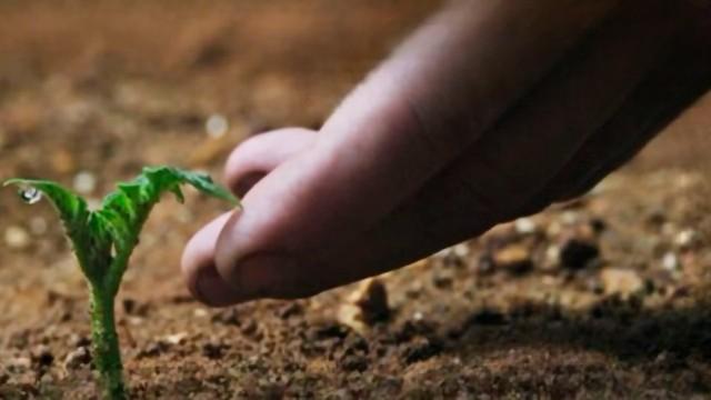 Scicast #174: Agricultura