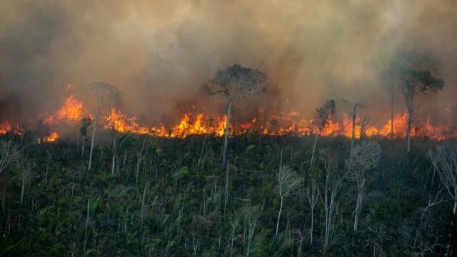 O Assunto #01: Amazônia em chamas