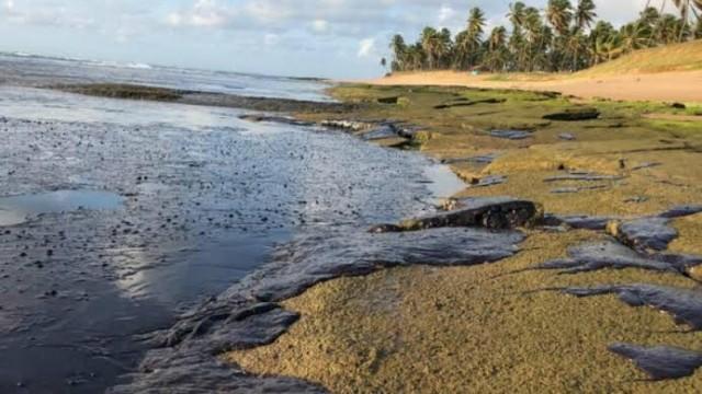 O Assunto #45: O que dizem os voluntários que correm riscos para ajudar a limpar praias atingidas por óleo no Nordeste