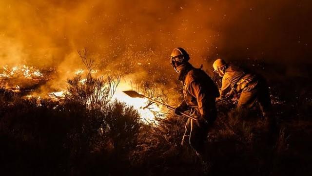 O Assunto #55: Cientistas alertam para a crise do clima – e o que cada um pode fazer para mudar o aquecimento do planeta