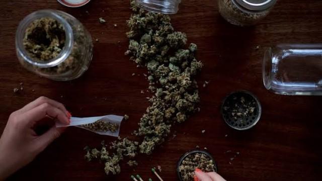 A legalização da maconha medicinal no Brasil