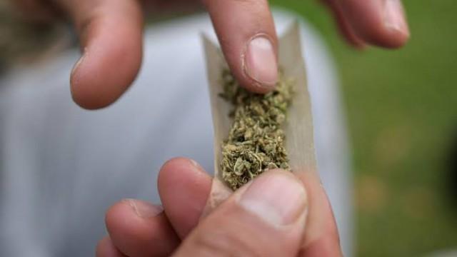 A associação que conseguiu usar maconha como remédio