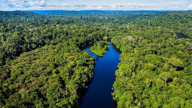 O Assunto #64: O que fazer para salvar a Amazônia após o maior desmatamento em 11 anos