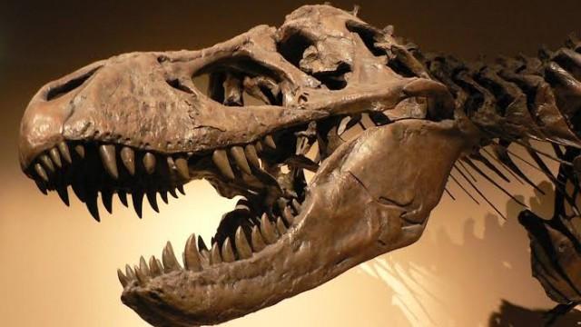 O Assunto #66: Os caçadores brasileiros de dinossauros - e a descoberta da ossada de um predador de 230 milhões de anos