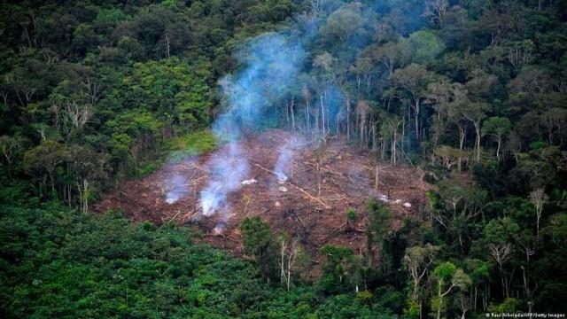 O maior desmatamento da Amazônia na década
