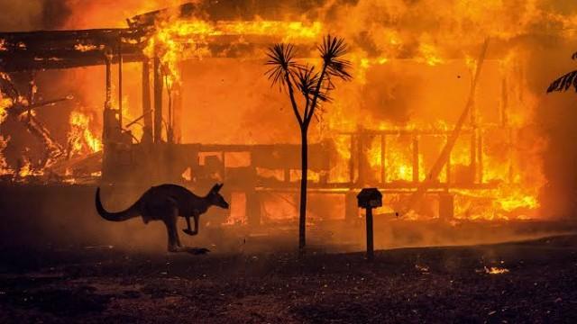 Os incêndios que consomem a Austrália