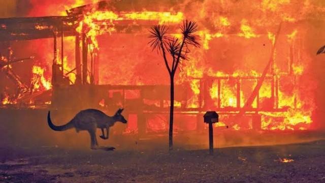 Austrália em chamas - e por que não faz sentido comparar os incêndios de lá com as queimadas na Amazônia