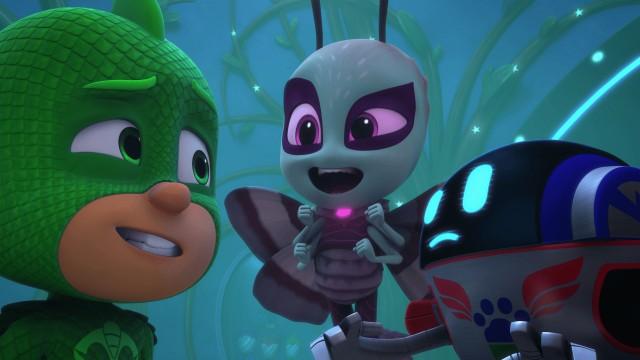 Who Let the Moths In?