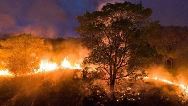 O Pantanal arde