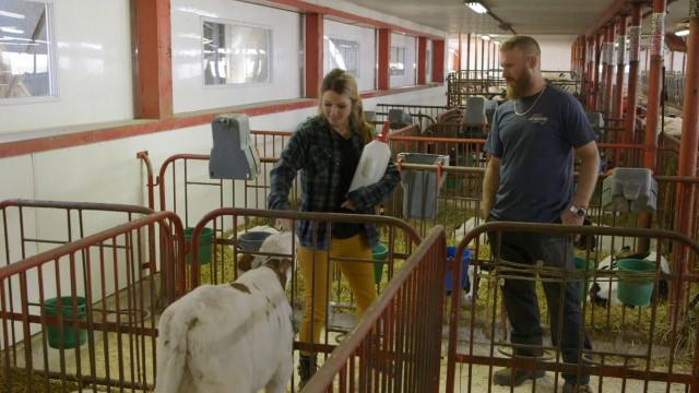 Début du jour 3 sur la ferme