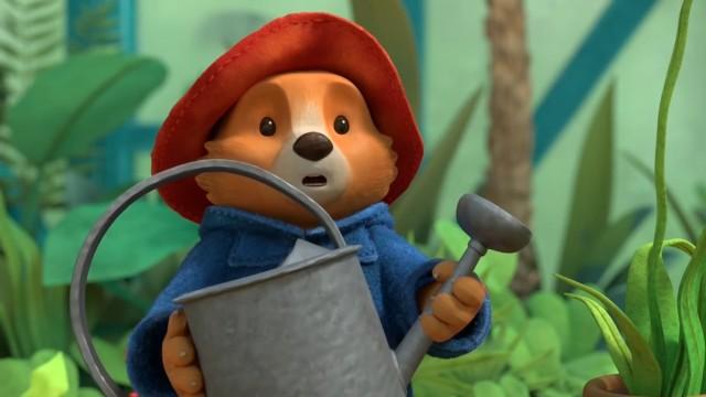 Paddington’s Plant Problem