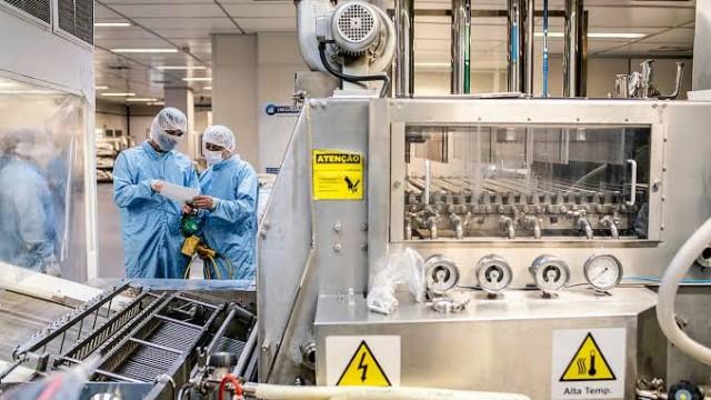 Uma fábrica de vacinas por dentro