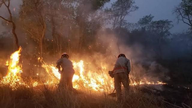 Pantanal: a seca e o medo do fogo