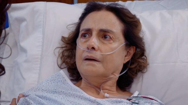 Capítulo Final Parte 1: Mi último deseo