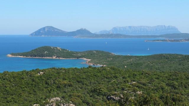 Wildes Sardinien