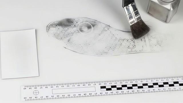 Evidence (SciCast #568)