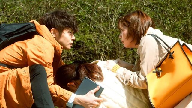 A genius radiologist who is back! The whereabouts of the disappeared companions...