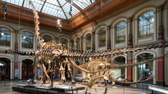 O dinossauro brasileiro que a Alemanha não quer devolver