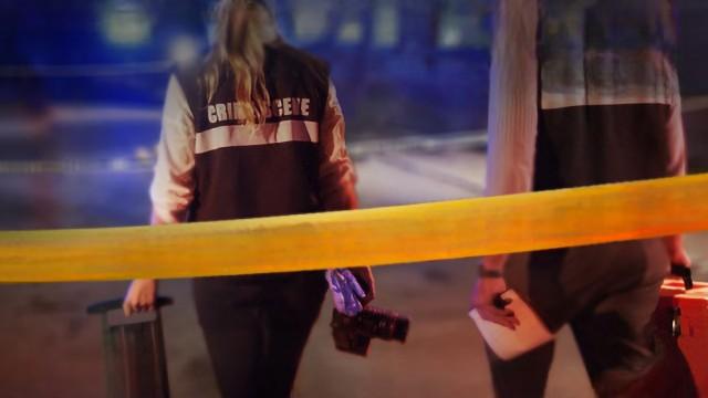 CSIcast: forensic sciences (SciCast #457)