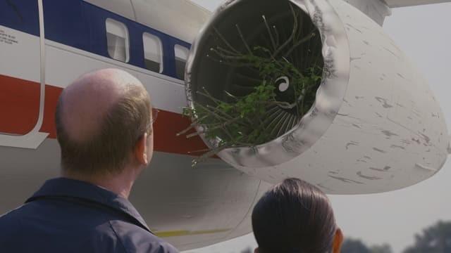 Tree Strike Terror (American Airlines Flight 1572)