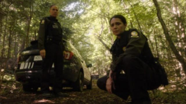 La lune n'a rien à craindre des loups