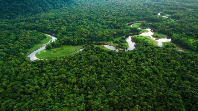 Amazônia ilegal: modelo de subdesenvolvimento