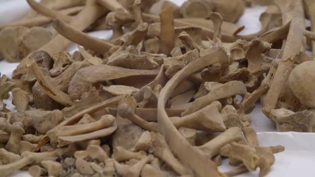 La exhumación de la Iluminada – Urgencias, entre la vida y la muerte – Los extraños ídolos – Cine Club: Horror en la guerra