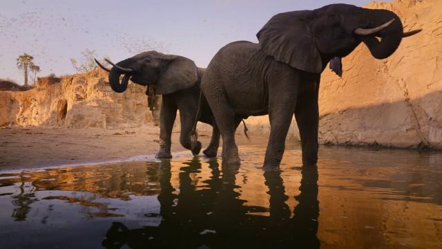 Tsavo, Kenya