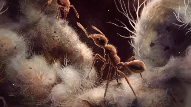 When Ants Domesticated Fungi