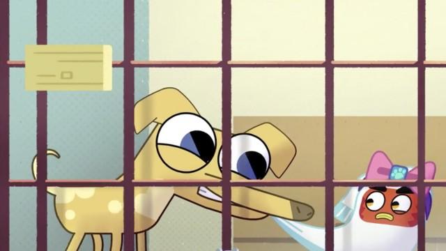 Animal Shelter Encounter