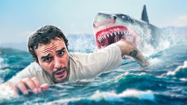 Peut-on gagner contre un requin blanc ? (chaîne alimentaire)