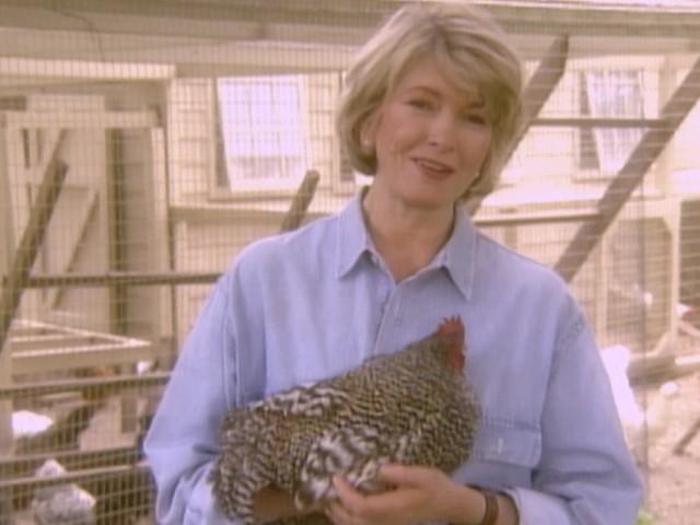 Pennsylvania Avian Club; Martha's Chicken Coop