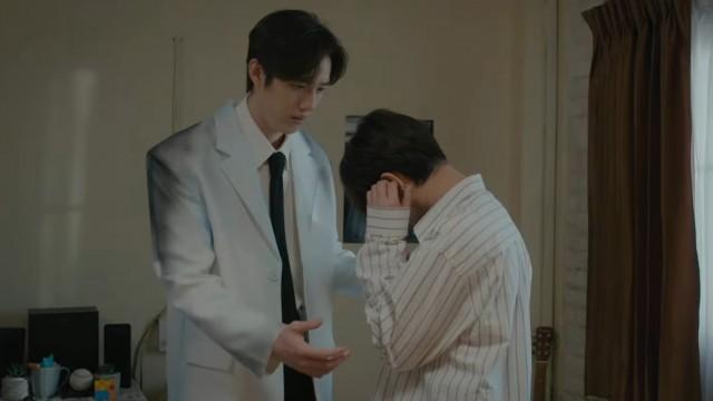 The Terrestrial Rock