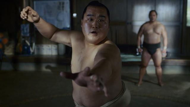 Episode 7