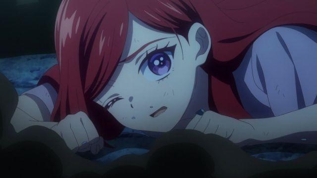 The Merciless Princess and the Order