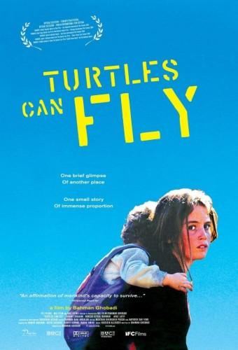 Turtles Can Fly