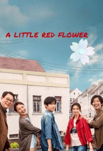 A Little Red Flower