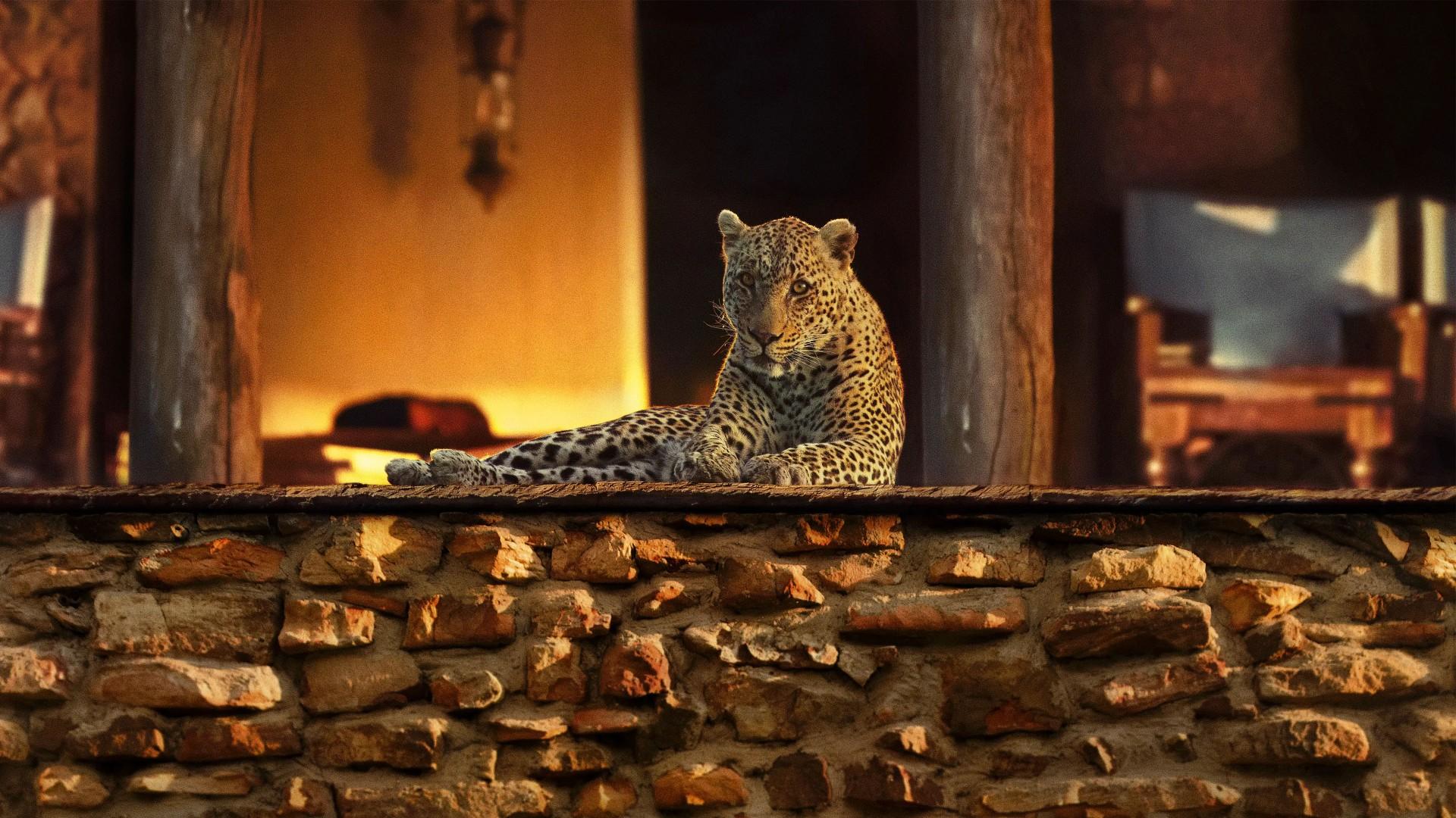 The Year Earth Changed