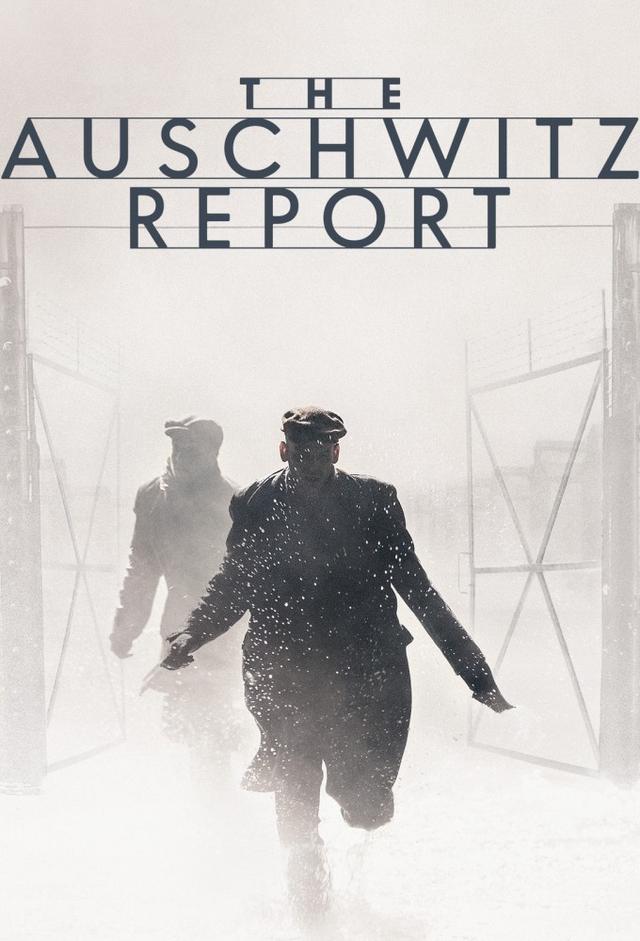 The Auschwitz Report