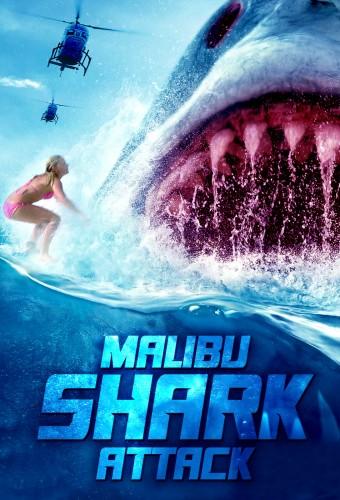 Malibu Shark Attack