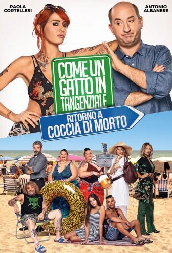 Like Fish Out of Water - Return to Coccia di Morto