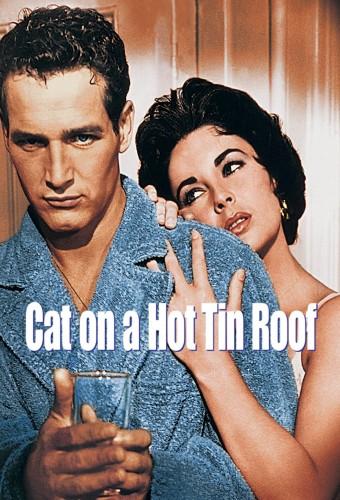 Cat on a Hot Tin Roof