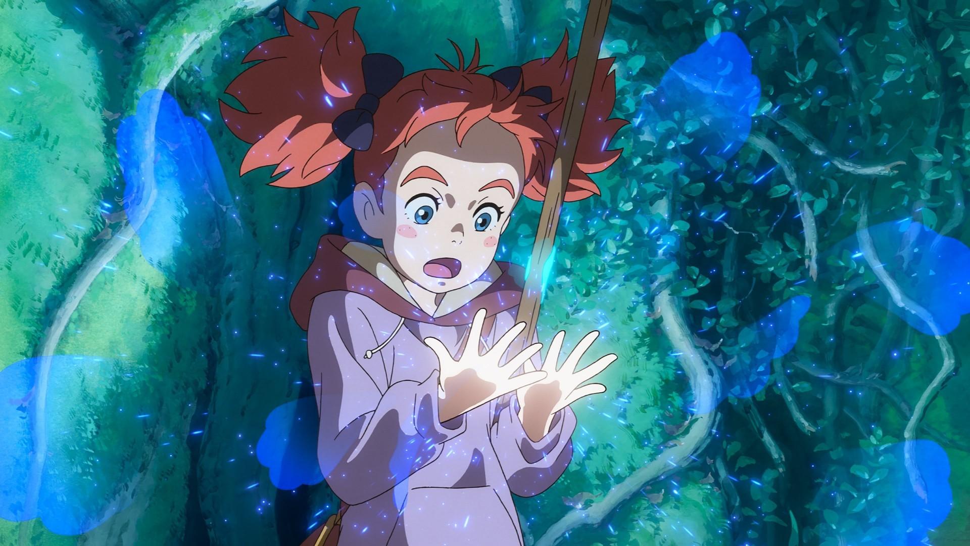 Mary and the Witch's Flower