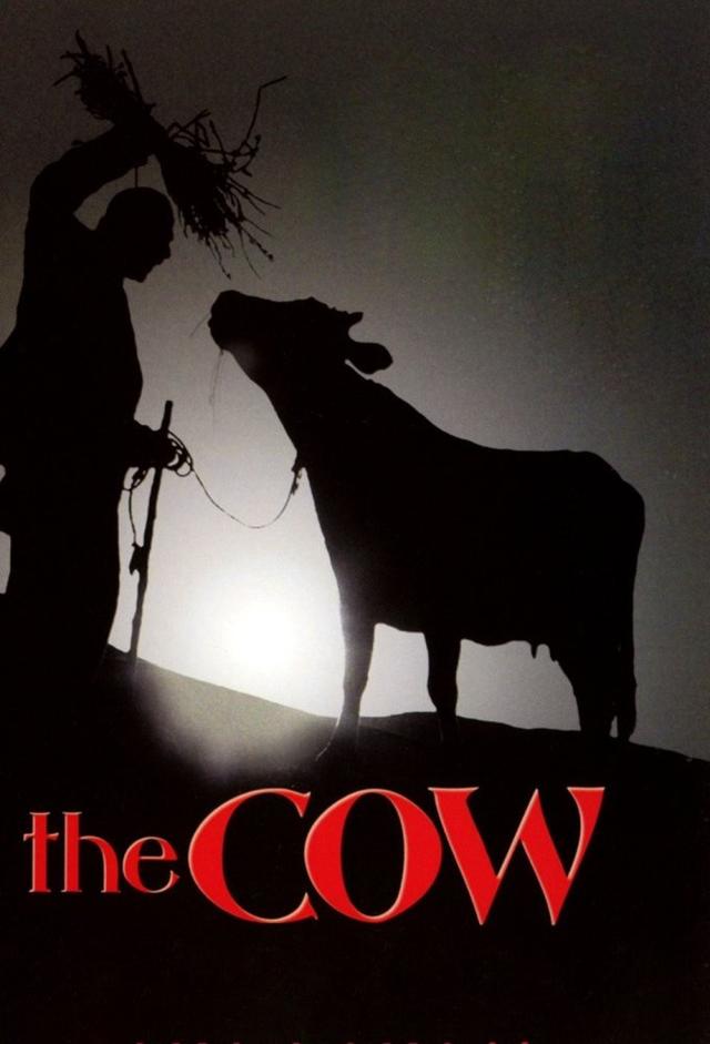 The Cow