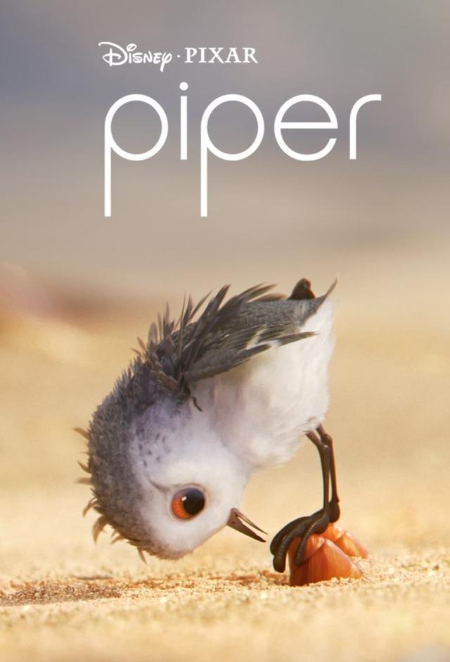 Piper