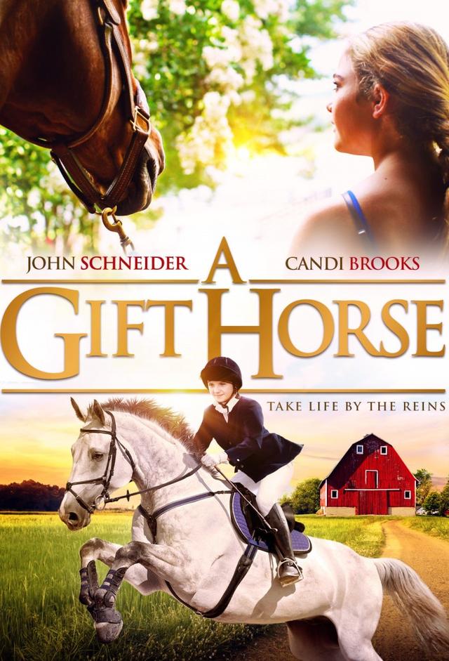 A Gift Horse