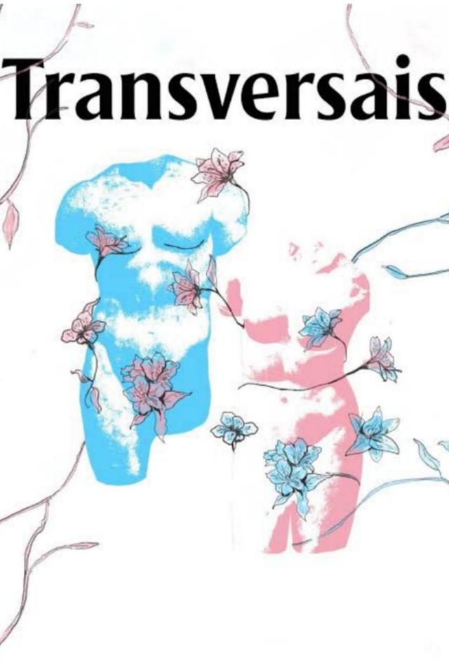 Transversais