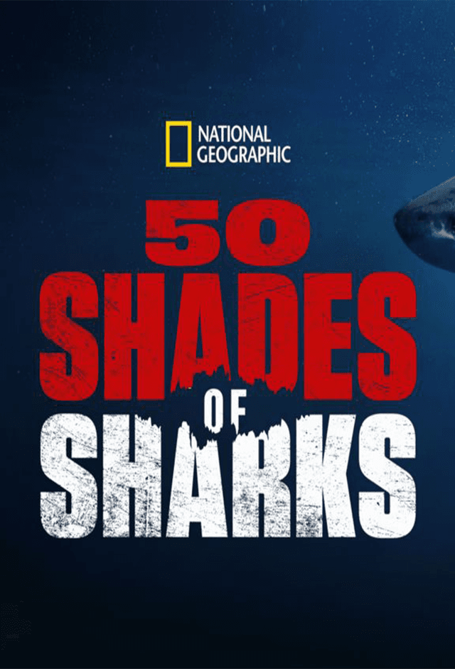 50 Shades of Sharks